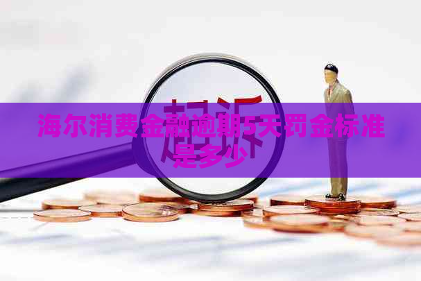 海尔消费金融逾期5天罚金标准是多少