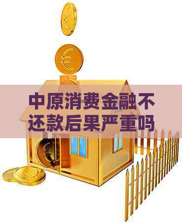 中原消费金融不还款后果严重吗