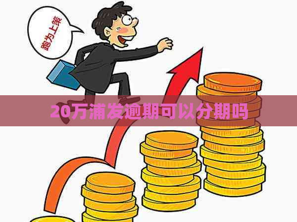 20万浦发逾期可以分期吗