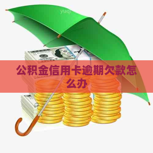 公积金信用卡逾期欠款怎么办