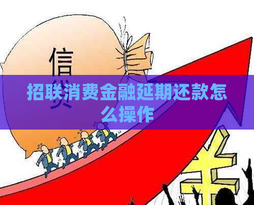 招联消费金融延期还款怎么操作