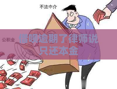 借呗逾期了律师说只还本金