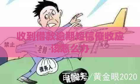 收到借款逾期短信应该怎么办