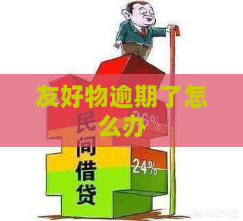 友好物逾期了怎么办