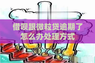 借呗跟微粒贷逾期了怎么办处理方式