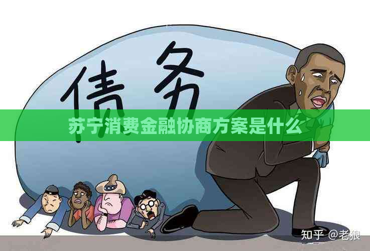 苏宁消费金融协商方案是什么