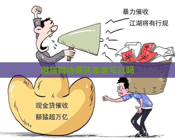 微贷网协商还本金可以吗