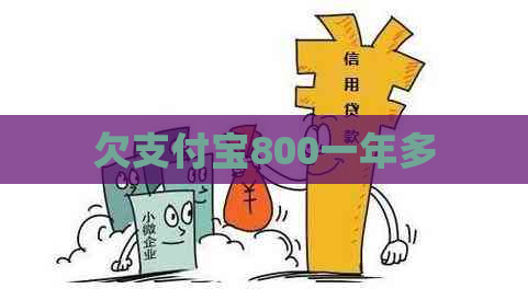 欠支付宝800一年多