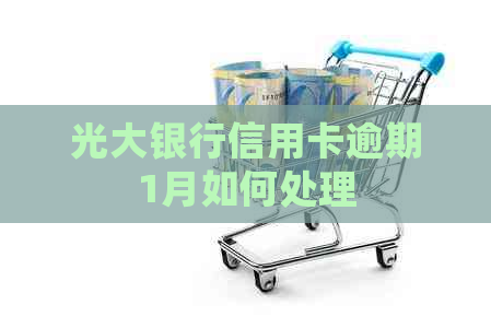 光大银行信用卡逾期1月如何处理