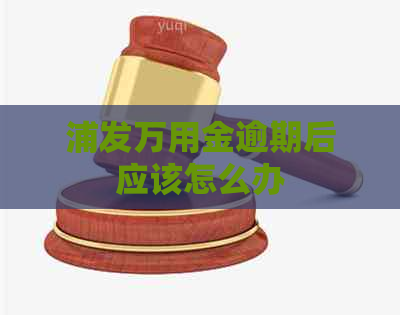 浦发万用金逾期后应该怎么办