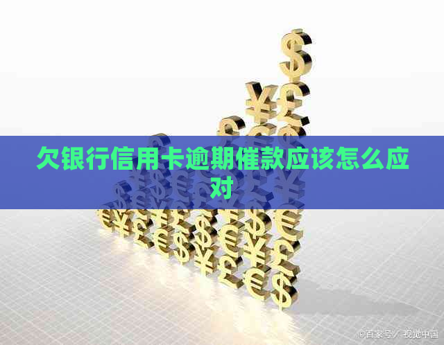 欠银行信用卡逾期催款应该怎么应对