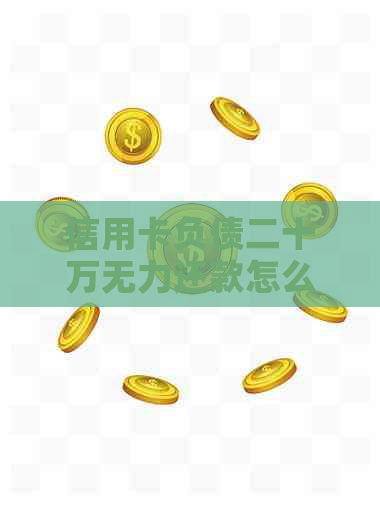 信用卡负债二十万无力还款怎么办