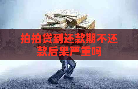 到还款期不还款后果严重吗