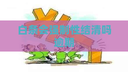 白条会强制性结清吗逾期