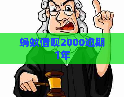 蚂蚁借呗2000逾期1年