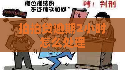 逾期2小时怎么处理