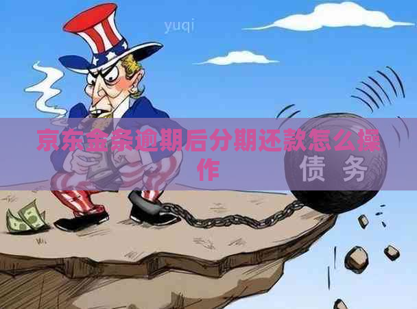 京东金条逾期后分期还款怎么操作