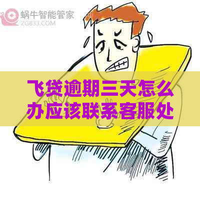 飞贷逾期三天怎么办应该联系客服处理