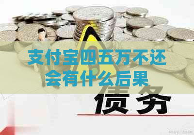 支付宝四五万不还会有什么后果