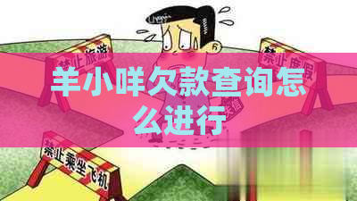 羊小咩欠款查询怎么进行