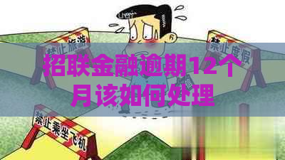 招联金融逾期12个月该如何处理