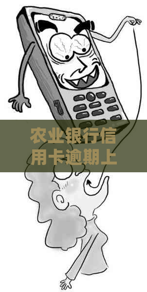 农业银行信用卡逾期上了怎么处理