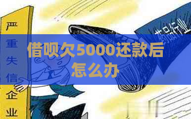 借呗欠5000还款后怎么办