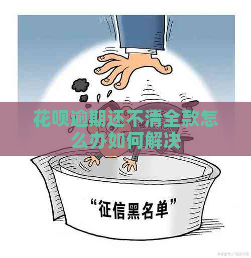 花呗逾期还不清全款怎么办如何解决