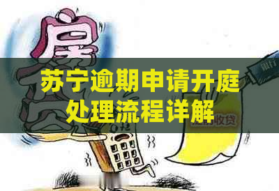 苏宁逾期申请开庭处理流程详解