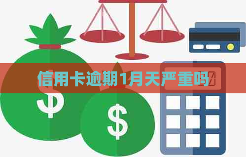 信用卡逾期1月天严重吗