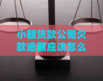 小额贷款公司欠款逾期应该怎么处理