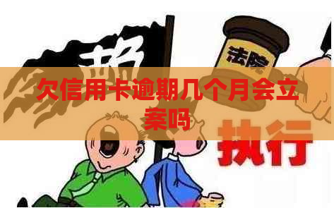 欠信用卡逾期几个月会立案吗