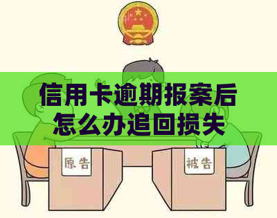 信用卡逾期报案后怎么办追回损失