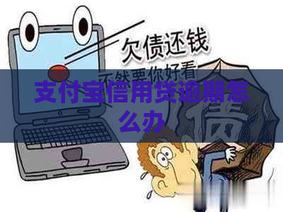 支付宝信用贷逾期怎么办