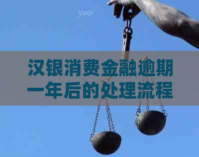 汉银消费金融逾期一年后的处理流程和后果