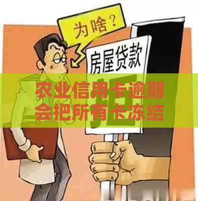 农业信用卡逾期会把所有卡冻结吗怎么办理