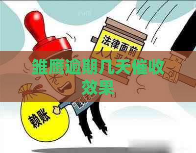 雏鹰逾期几天效果