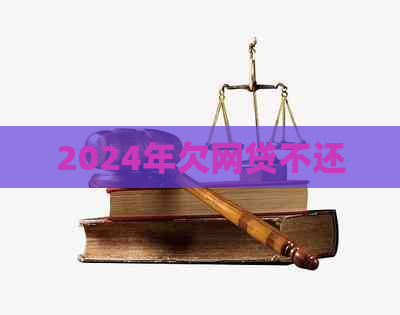 2024年欠网贷不还