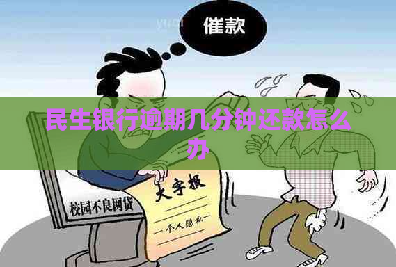 民生银行逾期几分钟还款怎么办