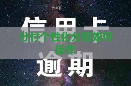 分付个性化分期如何操作