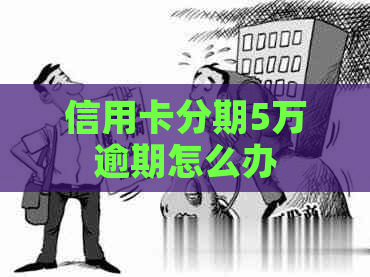 信用卡分期5万逾期怎么办