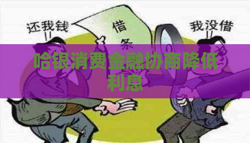 哈银消费金融协商降低利息