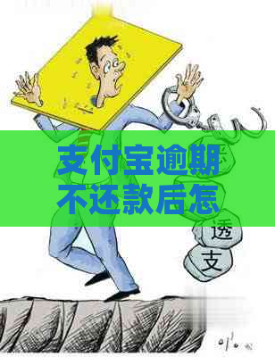 支付宝逾期不还款后怎么办