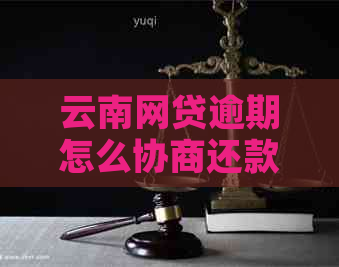 云南网贷逾期怎么协商还款才能有效解决问题