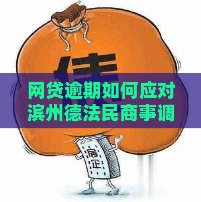 网贷逾期如何应对滨州德法民商事调解