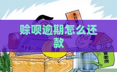 赊呗逾期怎么还款