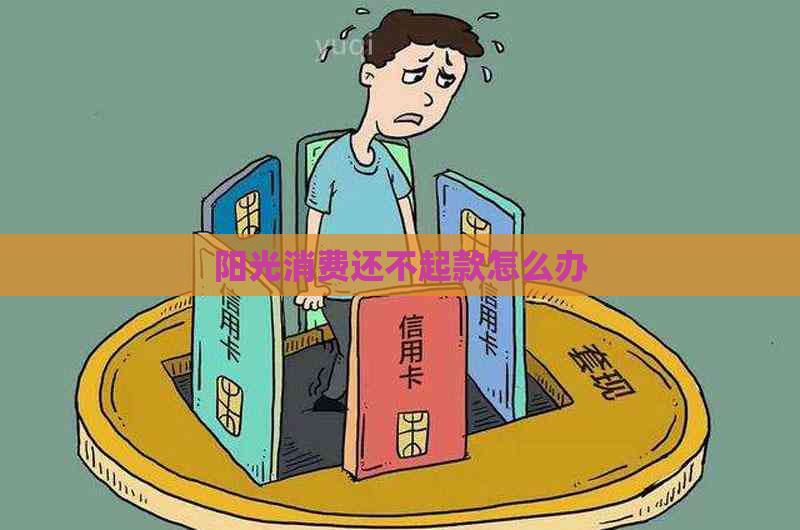 阳光消费还不起款怎么办