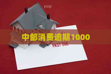 中邮消费逾期1000