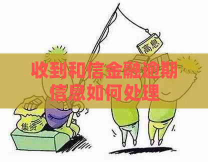 收到和信金融逾期信息如何处理