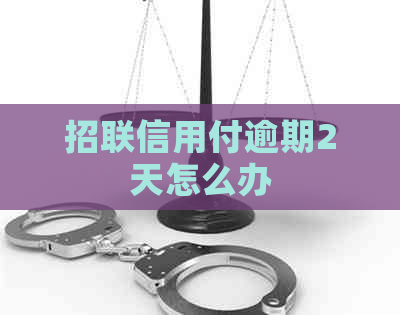 招联信用付逾期2天怎么办